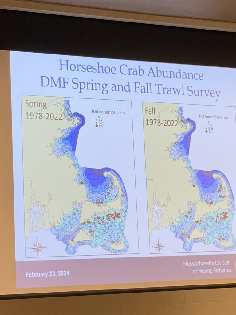 chart showing Horseshoe crab abundance surveys for fall and spring 1978 to 2022